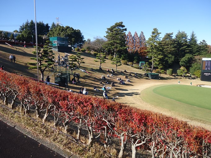 ゴルフ日本シリーズJTカップ　18番グリーン